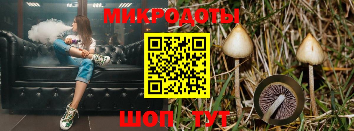Галлюциногенные грибы Psilocybe  Вход с VPN  Псилоцибиновые грибы Magic Shrooms  Павлово 